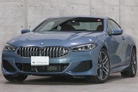 2019 BMW 8 SERIES null