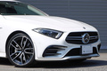 2019 Mercedes-AMG CLS Class null