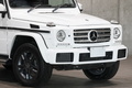 2017 Mercedes-Benz G CLASS null