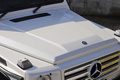 2015 Mercedes-Benz G CLASS 