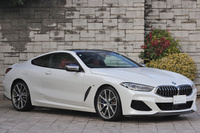 2019 BMW 8 SERIES null