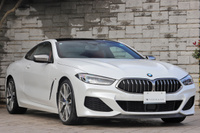 2019 BMW 8 SERIES null