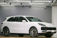 2019 Porsche CAYENNE null