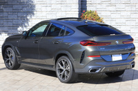 2020 BMW X6 null