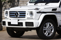 2018 Mercedes-Benz G CLASS null