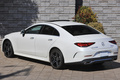 2019 Mercedes-Benz CLS CLASS null