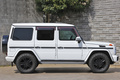 2017 Mercedes-Benz G CLASS null