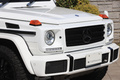2017 Mercedes-Benz G CLASS null