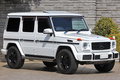 2017 Mercedes-Benz G CLASS null