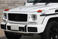 2017 Mercedes-Benz G CLASS null