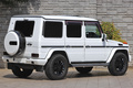 2017 Mercedes-Benz G CLASS null