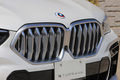 2022 BMW X6 null