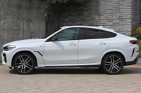 2022 BMW X6 null