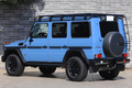 2019 Mercedes-Benz G CLASS null