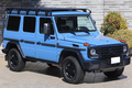 2019 Mercedes-Benz G CLASS null
