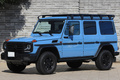 2019 Mercedes-Benz G CLASS null