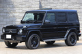 2015 Mercedes-Benz G CLASS null