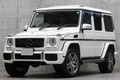 2014 Mercedes-Benz G CLASS null