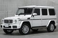 2016 Mercedes-Benz G CLASS null