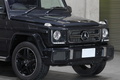 2016 Mercedes-Benz G CLASS null