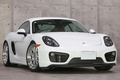2015 Porsche CAYMAN null