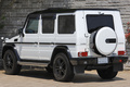 2015 Mercedes-Benz G CLASS 