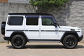 2015 Mercedes-Benz G CLASS 