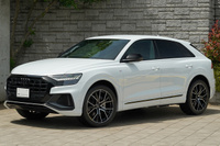 2022 Audi Q8 