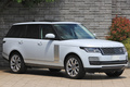 2021 Land Rover RANGE ROVER 