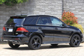 2016 Mercedes-Benz GLEクラス 