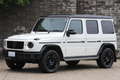 2020 Mercedes-Benz G CLASS 