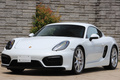 2015 Porsche CAYMAN 