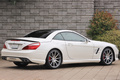 2013 AMG SL CLASS 