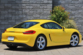 2014 Porsche CAYMAN null