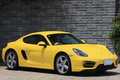2014 Porsche CAYMAN null