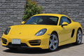 2014 Porsche CAYMAN null