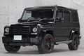 2016 Mercedes-Benz G CLASS null