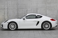 2013 Porsche CAYMAN null