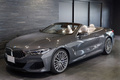 2019 BMW 8 SERIES null
