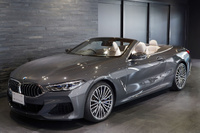2019 BMW 8 SERIES null