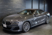 2019 BMW 8 SERIES null