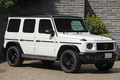 2020 Mercedes-Benz G CLASS null