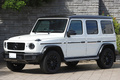 2020 Mercedes-Benz G CLASS null
