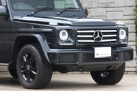 2017 Mercedes-Benz G CLASS null