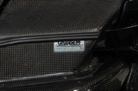 2010 Honda CIVIC TYPE R FD2 Civic Type-R, MUGEN One-Make Race ECM& Front Under Spoiler & Front Sports Grille, INGS GT WING