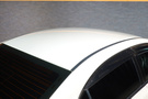 2010 Honda CIVIC TYPE R FD2 Civic Type-R, MUGEN One-Make Race ECM& Front Under Spoiler & Front Sports Grille, INGS GT WING