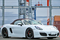 2014 Porsche BOXSTER null
