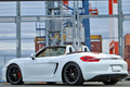 2014 Porsche BOXSTER null