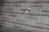 2020 Mercedes-AMG glc-class 