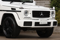 2017 Mercedes-Benz G CLASS null